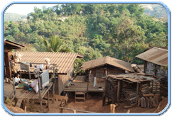living in the Lahu village